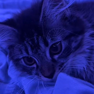 Meet your Posher, Ky